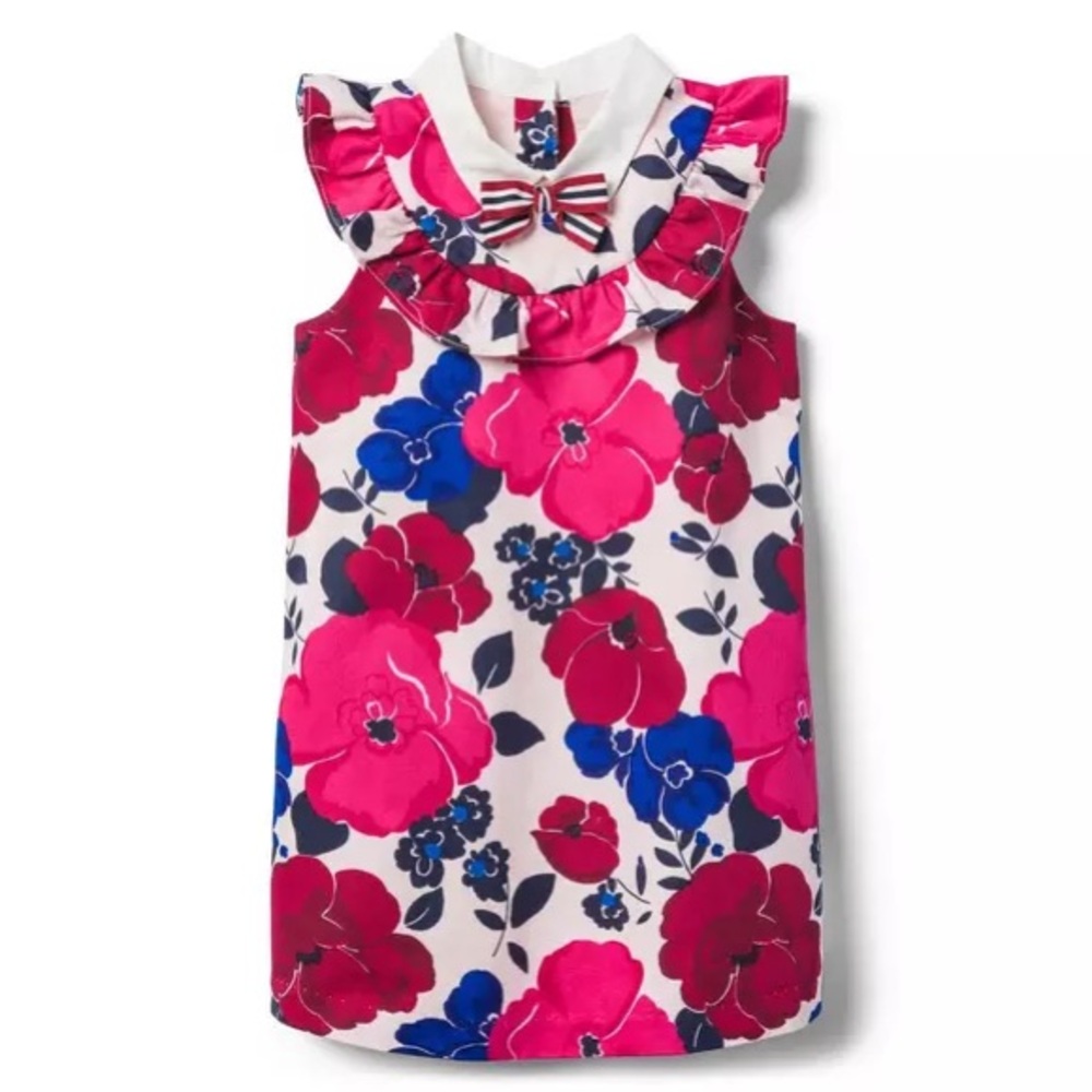 Janie and Jack sleeveless floral toddler girl dress